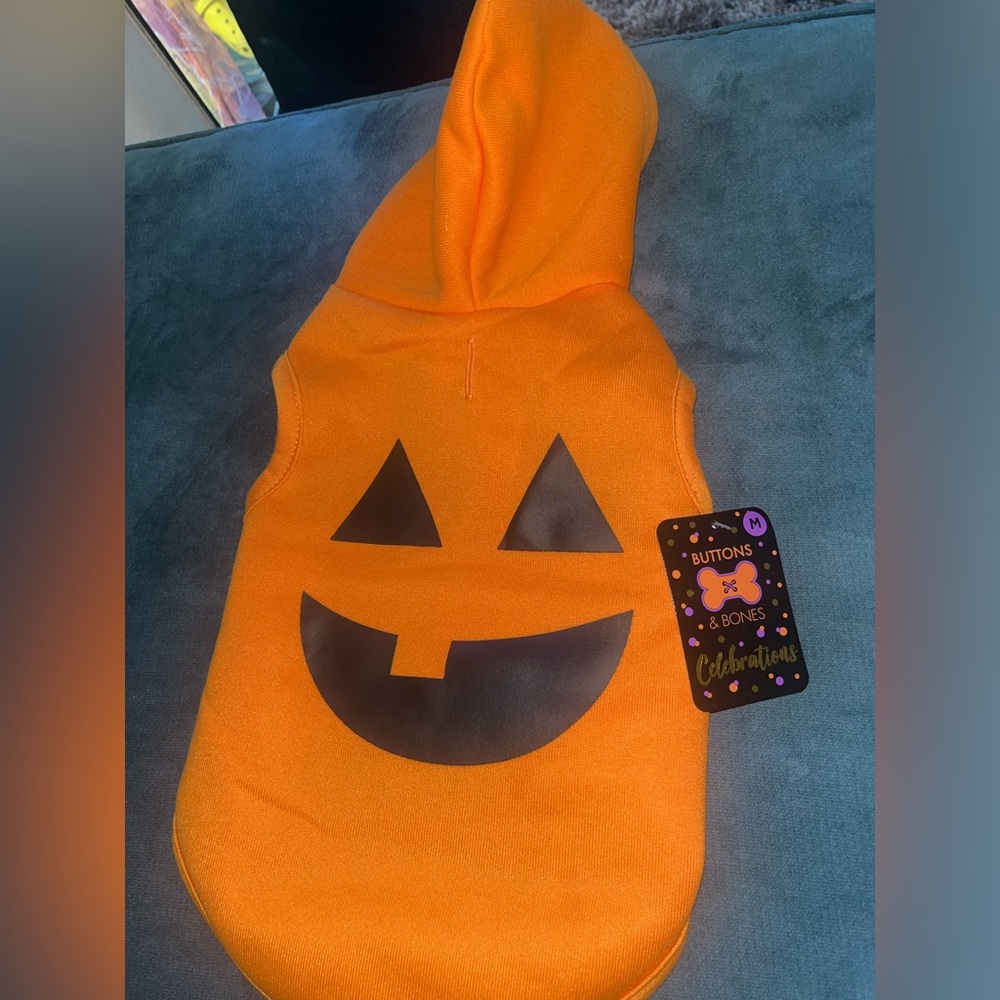 Pumpkin 🎃 Dog costume